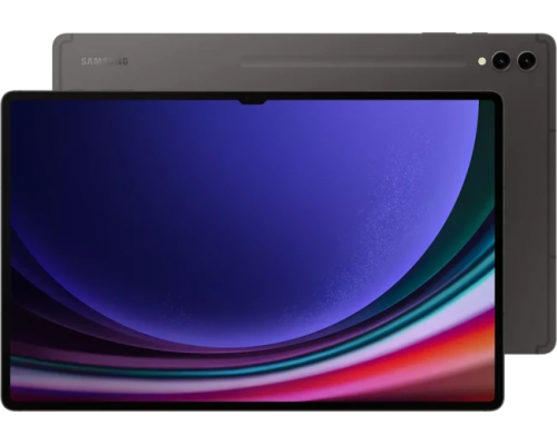 Планшет Samsung Galaxy Tab S9 Ultra 5G SM-X916 16GB/1TB (графитовый)