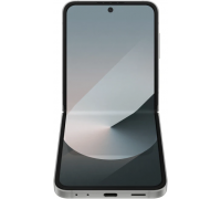 Смартфон Samsung Galaxy Z Flip6 SM-F741B 12GB/512GB (серый)