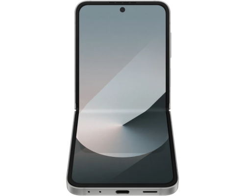 Смартфон Samsung Galaxy Z Flip6 SM-F741B 12GB/512GB (серый)